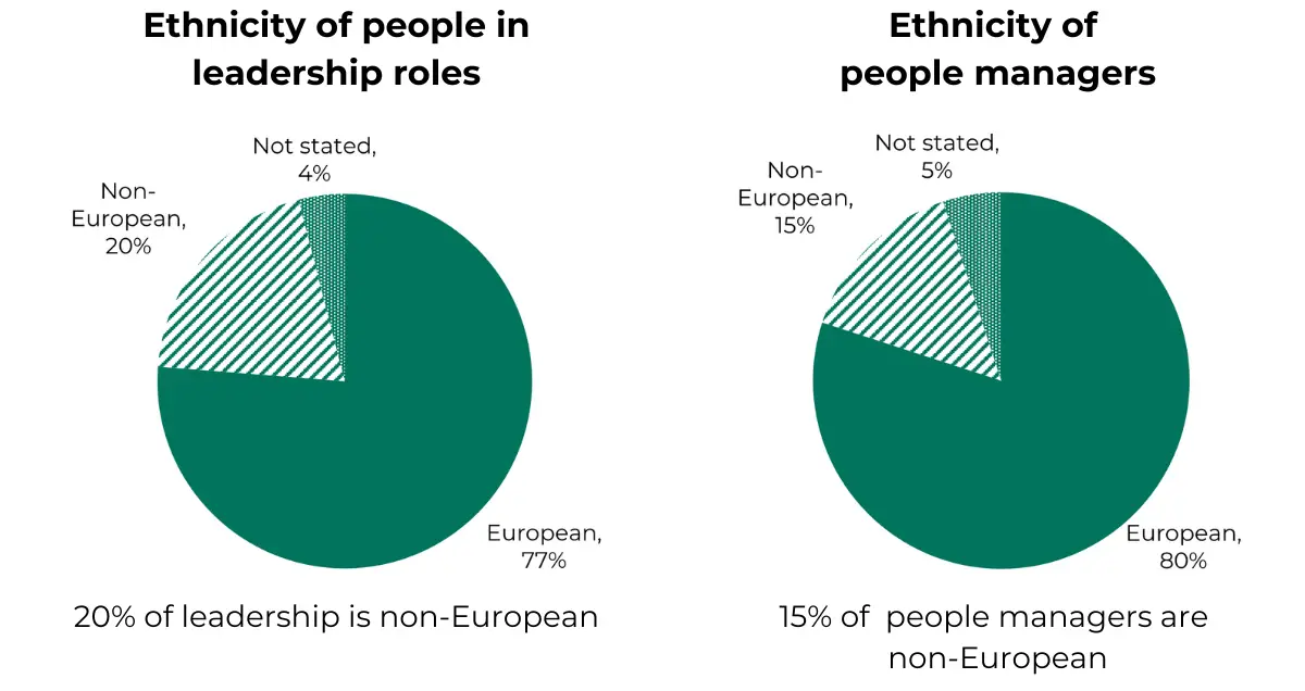 pie charts showing 1 in 5 people in leadership positions are non-European. 15% of people managers are non-European..
