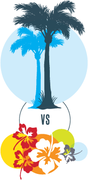 The coconut tree instead of the hibiscus flower?